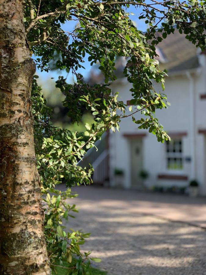 The Ghillie Bed and Breakfast Μέλροουζ Εξωτερικό φωτογραφία
