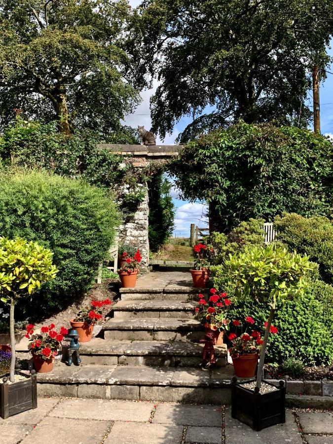 The Ghillie Bed and Breakfast Μέλροουζ Εξωτερικό φωτογραφία